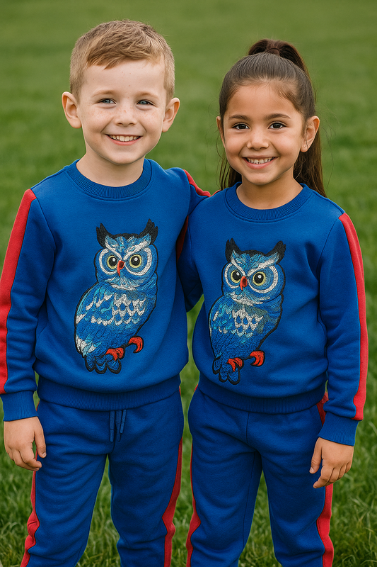 ROYAL BLUE PANNEL TRACKSUIT-WINTER